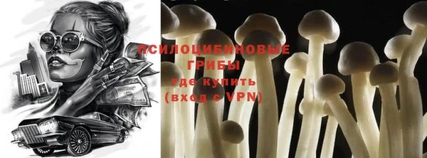 прущая мука Вязники