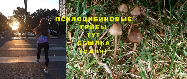 прущая мука Вязники