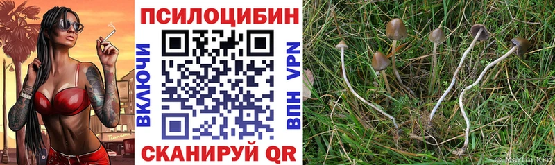 Галлюциногенные грибы мухоморы  продажа наркотиков  Альметьевск 